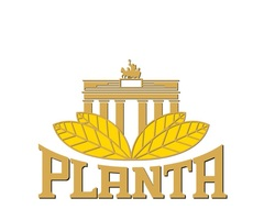 Planta