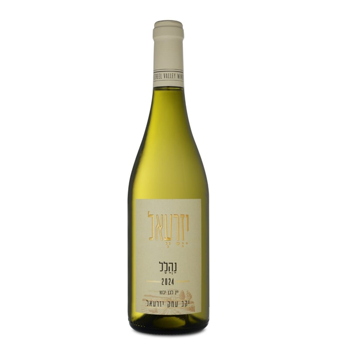 יין לבן עמק יזרעאל 2024