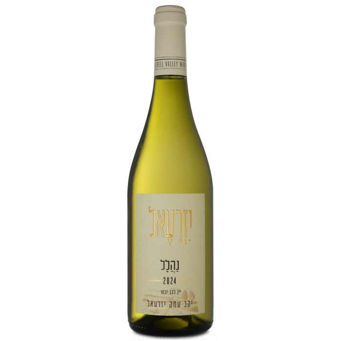 עמק יזרעאל נהלל לבן 2024