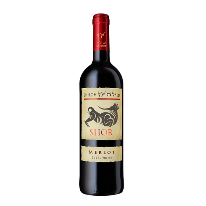 שילה שור מרלו 2022