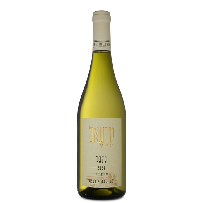 יין לבן עמק יזרעאל נהלל 2024