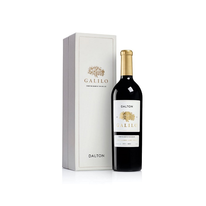 דלתון גלילו 2019